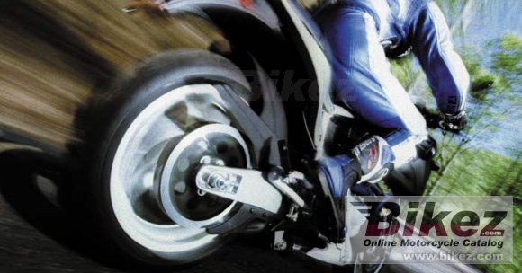 2002 buell x1w white lightning photo